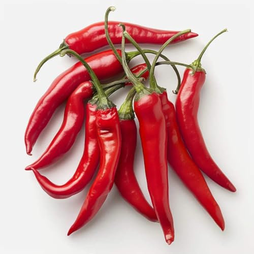 25 Semillas de Chiles de Cayena - SemiSauvage Permacultura