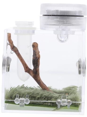 VILLCASE Springspinne Terrarium Kasten Mittel mit Lampe Kompakter Spinnen Lebensraum aus Robustem Kunststoff Klappbare Fütterungsöffnung Insekten Terrarium für Kleine Zufälliger Stil