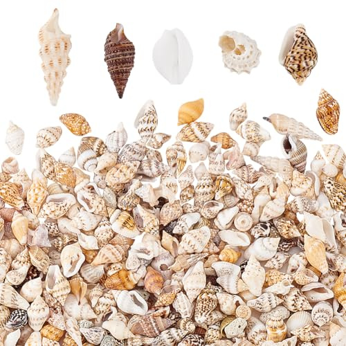 PandaHall 1400-1500 piezas de concha de mar pequeña, longitud en espiral de 7-12 mm para la fabricación de velas, decoración de fiesta temática de playa, relleno de jarrón de pecera, sin agujero