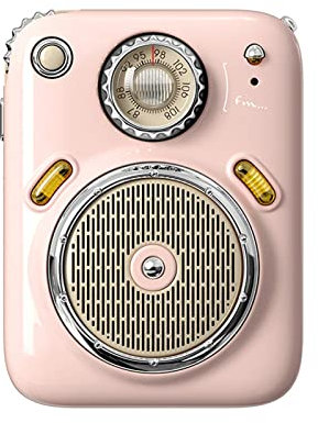 ZXNQ Mini Bluetooth Speaker FM Radio Outdoor Portable Wireless Speaker Long Battery Life Support TF Card,Pink