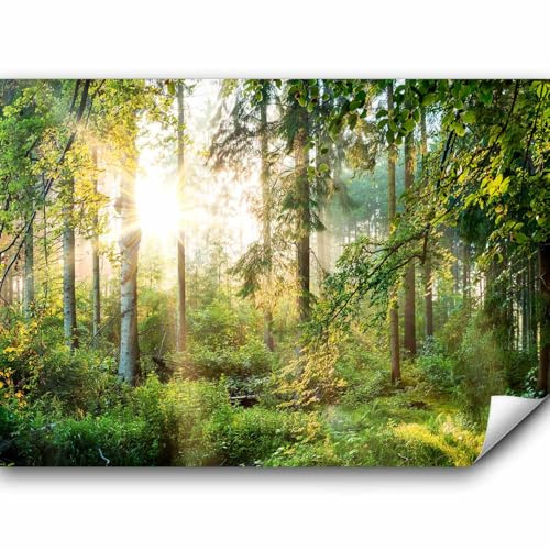murando - Fototapete Premium-Vlies Wald, 350x256 cm, Schlafzimmer, Full HD | Premium-Vliesstoff, Full HD Druck, hochwertige Verarbeitung fürs Wohnzimmer, schnelle Montage, lichtbeständig, geruchsfrei