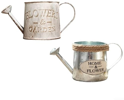 Regadera compacta de hierro, macetas de estilo vintage, jarrón de metal, decoración de jardín (El viejo)