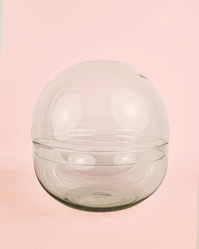 Domo Terrario Bol 28x28cm | Terrario Cristal | Pur Plant