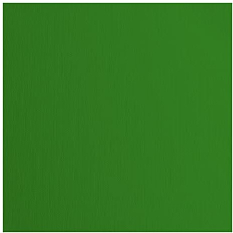 Vaessen Creative Florence Cardstock Papier, Grün, 216 Gramm/m², Quadratisch, 30,5 x 30,5 cm, 20 Stück, Textur, für Scrapbooking, Kartenherstellung, Stanzen und andere Papierbasteleien