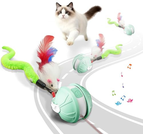 LITLBEST Interaktiver Katzenspielball – 2-in-1-Katzenspielzeug für drinnen mit Federaufsatz Bewegliche Elektrische Rollballspielzeuge für Gelangweilte Kätzchen und Erwachsene Katzen