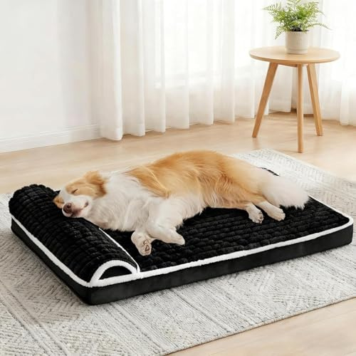 Jolibean ortopedisk hundsäng, medelstor hund med kudde 76 x 51 cm, vattentät mjuk bekväm ägglåda skum husdjurslåda sängmatta med avtagbart tvättbart skydd och halkfri botten, svart