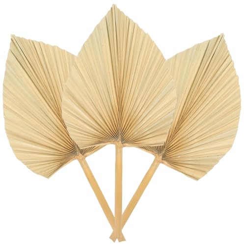 STAHAD Decoración Artística Hojas de Palma Secas Hojas de Abanico para Fiestas Bodas Banquetes Decoración de Interiores y Exteriores Adorno para Arreglos y Paredes
