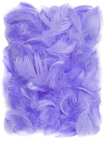 Netuno 150 Stück Flaum Federn Violett 10 g Natur Schmuckfedern zum DIY Basteln Dekoration für Ostern Weihnachten Figuren Dekofigur Karneval