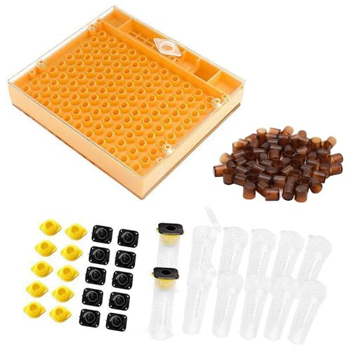 Set di allevamento apicoltori per apicoltori con sistema di nicotico per apicoltura/apicoltura Set/apicoltura regina/nicot