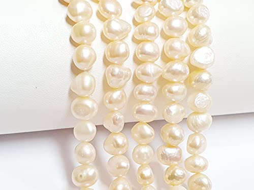 Perlin Perle d'acqua dolce coltivate 8 mm albicocca grano riso naturale ovale pietra preziosa conchiglia da infilare fresca, avorio, 7 mm ~ 9 mm x 6 mm