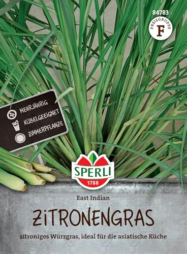 Sperli Zitronengrassamen East Indian 84783, Saatgut | Zitronig-frisches Aroma, Würzgras für asiatische Gerichte, Suppen und Currys, kübelgeeignet, für die heimische Küche