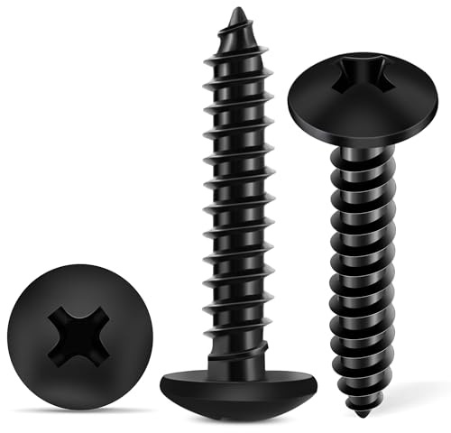 100 Piezas Tornillos 4 x 25 mm Cabeza Lenteja PH2 Cruz en Inoxidable A2 (304), Autorroscantes con Negro Revestimiento Anticorrosión, Tornillos Universales para Madera, Metal y Aglomerado TPOHH