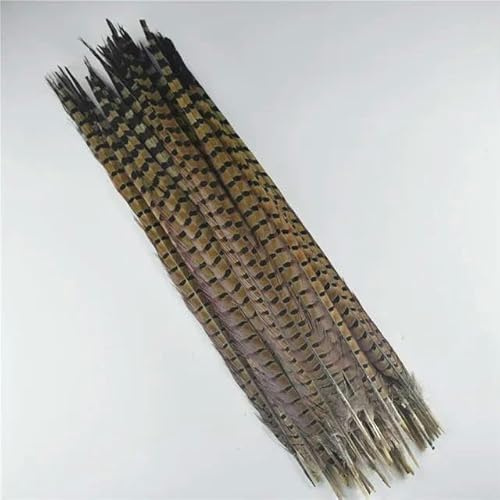 VGHJYNM 10 Stück 40–45 cm farbige Fasanenschwanzfedern für schwarz-weiße Lange Fasanenfedern, Dekor, DIY-Dekoration, Natur, 10 Stück