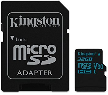 Kingston Canvas Go SDCG2/32GB MicroSD Card Capturing Life on the Move, Class 10 UHS-I U3, SD Adapter Included