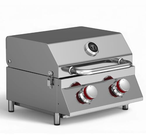GasOne - Barbacoa de mesa de acero inoxidable de 40,6 cm - Barbacoa de gas de mesa con control de calor y termómetro integrado - Gran superficie de cocción - Ideal para