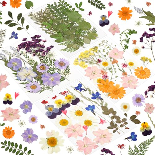 87 Stück Gepresste Blumen, Natürliche Getrocknete Blumen DIY | Gemischte Farben, für Kerzen Harz Anhänger Scrapbook Fotorahmen Dekoration