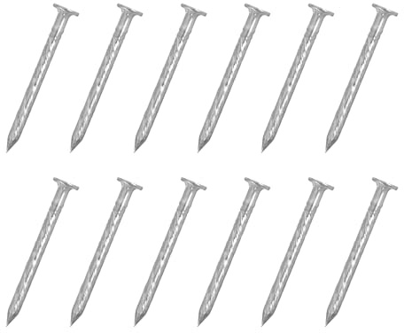 QUARKZMAN 25pcs Clôture Terrasse Clous, 1 pouce 304 Inox Acier Spirale Deck Clou Spirale Tige Pointes pour Maison Sol Réparation Mur Travail Bois, Argent