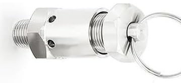 1 st 304SS sanitär fjädertrycksventil - 1/4 tum, 0,5-10 bar for gaskompressorer och tryckkokare(2 6Bar Adjustable)
