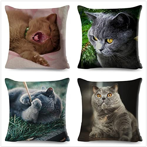 Tinnoon Kissenbezug 70x70cm 4er SetBoho Wohnzimmer Outdoor Deko, Schlafzimmer Zimmer Dekor Kissenhülle Kissenbezüge mit Verstecktem Reißverschluss, Couchkissen, Sofakissen Weinachten Süße Katze