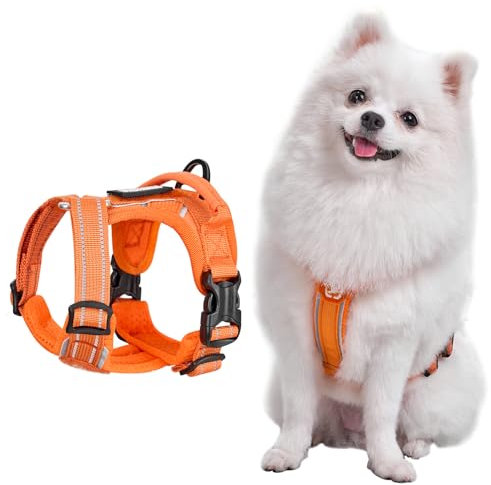 OneTigris Geschirr Set für Kleine Hunde, ANTZ Tactical Geschirre und Leine mit Lichtreflexband, Hundegeschirr mit Griff für Kleine, Mittelgroße Hunde wie Chihuahua, Yorkshire, Wiene Hund, Orange XXXS