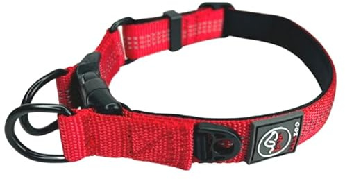 Lalazoo RICO Hundehalsband – Verstellbar Gepolstert Reflektierend mit Doppeltem D-Ring – Weich & Robust – Komfortables Hunde Halsband für Kleine Mittlere & Große Hunde – Rot, M