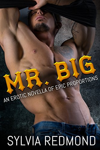 Mr. Big: An Erotic Novella of Epic Proportions