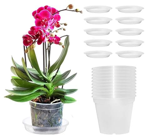 SRTSTR 10 Pezzi Vaso Trasparente per Orchidee 11,5cm Vasi per Orchidee in Plastica, Vasi Orchidee Trasparenti con Fori Drenaggio e Sottovaso per Balcone, Giardino, Interno ed Esterno