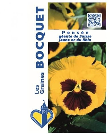 Sachet de graines de Pensée géante de Suisse jaune Or du Rhin - 0,5 g - fleur bisannuelle - LES GRAINES BOCQUET