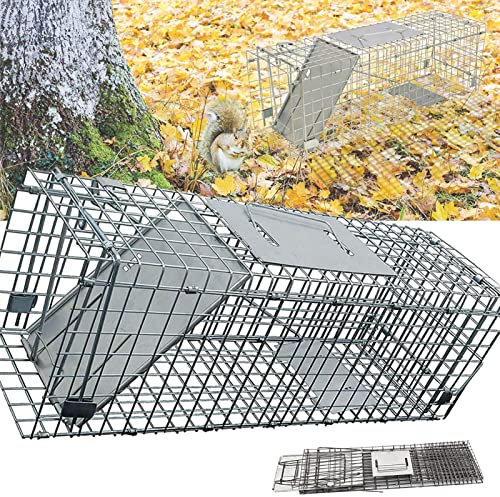 24'' Humane Live Animal Trap Cage for Rabbit, Raccoons, Cats, Opossums, Stray Cat, Squirrel, Large Collapsible Rodent Control Cage Traps Metal Steel No Kill Live Catcher, Easy Trap Catch & Release