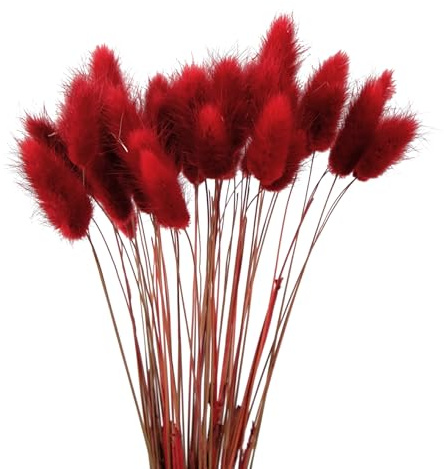 Wambere 60 Stück 40cm Natürliche Trockenblumen Deko Getrocknete Pampasgras Deko Verwelken Nie Trockenblumen Boho Deko Super Flauschig für Blumen Arrangements Heim Decor,Rot