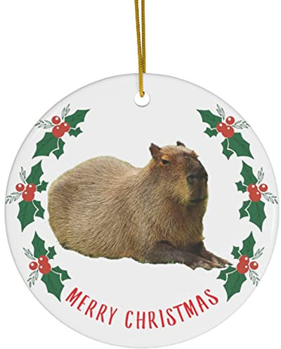 Weihnachtsbaumschmuck 7.3 cm, Wasserschwein Süß 2024 Christbaumschmuck Anhänger Ideal Runde Keramik Ornament Mode Weihnachtsanhänger Für Neujahr Geschenk Party Holiday