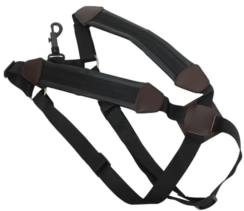 Verstellbarer Altsaxophongurt aus Nylon als Ersatz Saxophon Schultergurt | Ergonomisches Gurtband für Saxophon, Nackengurt für Altsaxophon, Passend für Spieler Zufällige Farbe