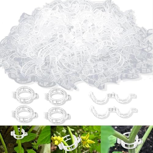 Hyfkjdm 250 Pièce Clip en Plastique sécurisé pour Plantes, Attache Tomate, Clips Support pour Attacher Les Plantes de Jardin Clips, pour Les légumes Tomate Vigne tiges de Croissance Droit (B)
