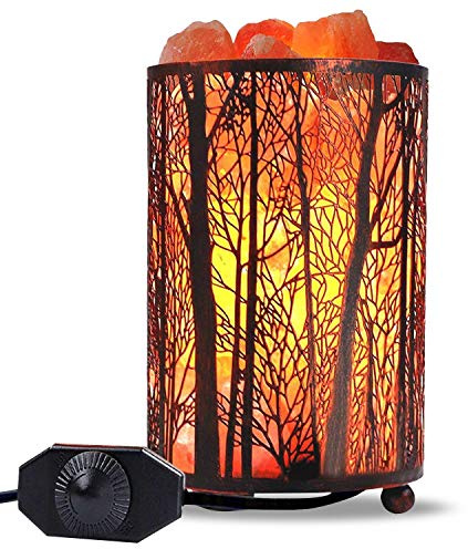 Shineled Himalayan Salt Lamp, Salt Rock Lamp Natural Night Light in Forest Design Metal Basket with Dimmer Switch (4.1 x 6.5 4.4-5lbs), 25Watt Bulbs & ETL Cord 1 Pack