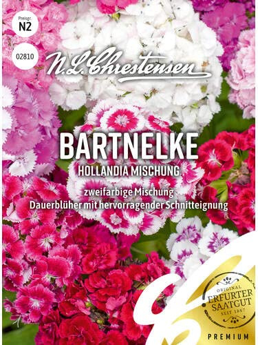 Chrestensen Bartnelke Hollandia Mischung | Blumensamen Mischung für Garten und Wiese