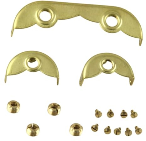 ＡＷＨＡＯ Saxophon Reparatur Set Ersatzteile Reparatur Kit Metall Schrauben Zubehör für Blasinstrumente Wartung Musiker Technik, Verdreifachen
