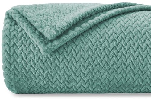 Homebliss Mantas para Sofa 270 x 230 cm,Manta Polar Franela Extra Suave,100% Microfibra Flannel Blanket,Multiusos Plaid para Cama,Cubrecama,Cubresofá,Verde Agua