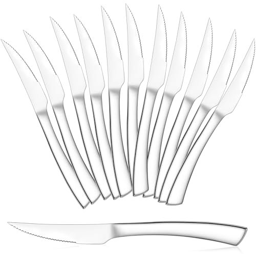 HaWare Set di 12 coltelli da bistecca, in acciaio inox, per uso domestico, cucina/ristorante, manico ergonomico, lucidato a specchio e lavabile in lavastoviglie