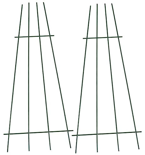 Abaodam 2piezas Enrejado Trepador para Plantas De Exterior Soporte para Plantas Trepadoras para Jardín