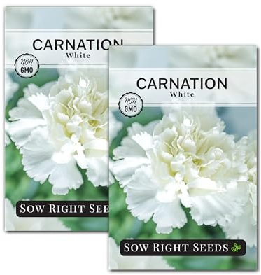 Sow Right Seeds - White Carnation Seeds for Planting - Grow Beautiful Dianthus Blooms in Your Garden - Perfect for Growing Outdoors or Using for Bouquets - Non-GMO Heirloom Vibrant Garden Flowers (2)