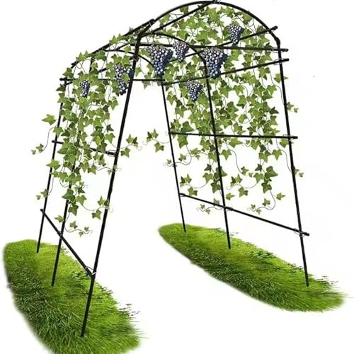 Traliccio di supporto per piante rampicanti, per cetrioli e zucchine, telaio rimovibile con rete rampicante, ideale per piselli, fagioli, uva e pomodori (4 archi, 120 cm x 160 cm)
