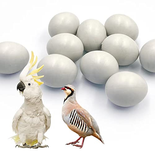 10Pcs Fake Bird Eggs,Stop Egg Laying for Cockatiels, Green Cheeks, Lovebird, Ringneck Dove, Lorikeet