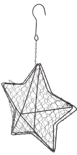 AKOOSY Colgante de Hierro Estrella de Puntas Contenedor para Suculentas Decoración de Pared para Interior y Exterior Adorno de Jardín y Oficina para de Plantas