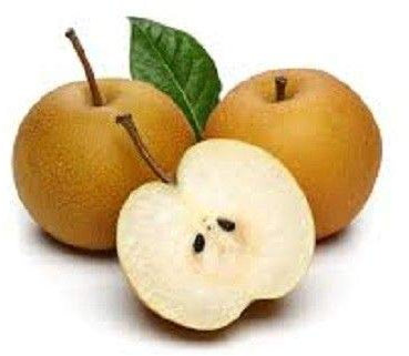 Semillas Germinazione dei Semi: 20 Semi: USA cimelio organici Semillas de peral asiático 10-80 Semi