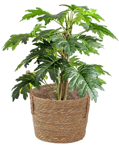 Cesto Para Plantas De Interior | Maceta De Paja Con Asa - Cestos para Plantas de Interior | Para Jardín Patio Balcón Exterior y Hogar