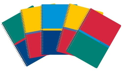 Conquérant Lot 5 Cahiers A5 Petits Carreaux 5mm 180 Pages Reliure Spirale Couverture Carte Recyclée, Couleurs Assortis