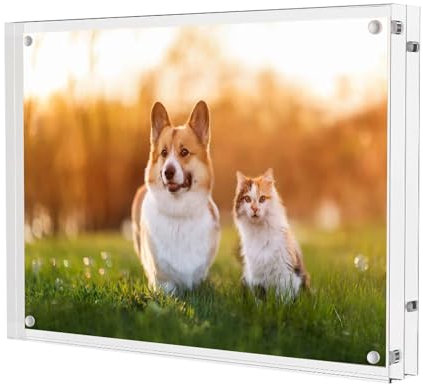 Aicharynic Cornice portafoto in acrilico, 15 x 20 cm, magnetica, trasparente, senza cornice, magnetica, doppia cornice