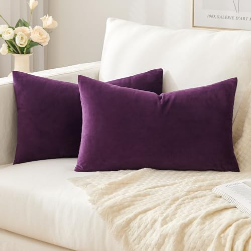 Slozzi 2er Set Samt Kissenbezüge 30x50 Lila Dekokissen Sofakissen | Haushalt Dekorative Kissenhülle Weich für Sofa Schlafzimmer Wohnzimmer