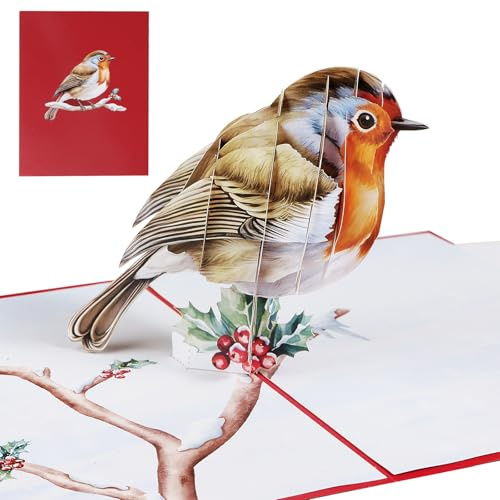 COLOFALLA Biglietto Auguri Natale 3D Biglietti Auguri Natalizi con Busta Biglietto Invito Pettirosso Natale Decorazioni Natalizie Calendario Avvento Festa Regalo Natale Capodanno Compleanno (B)