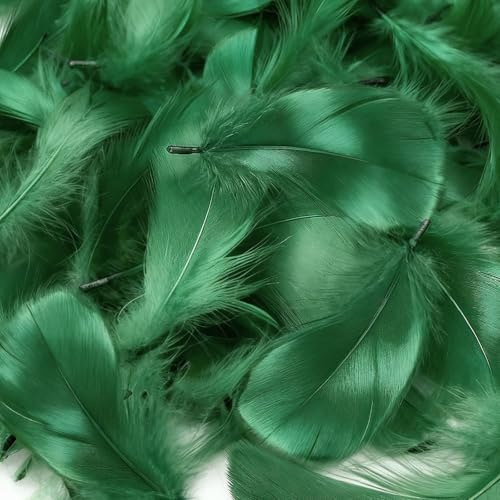 Mbsomnus 600 Stück Federn zum Basteln Dunkelgrün Federn Natürliche Feder Deko Bastelfedern für DIY Handwerk Traumfänger Ohrringen Federblumen Kopfschmuck Hochzeit Party Weihnachten Dekoration | Bastelfedern, 5-12 cm, für DIY Handwerk, Traumfänger, Ohrringen, Kopfschmuck, Federblumen, Hochzeit, Weihnachten, Party Deko